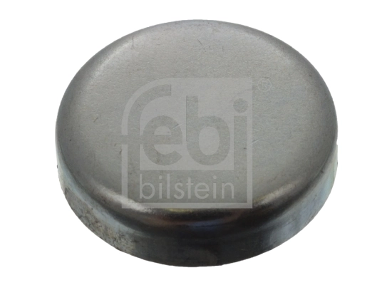 Frost Plug